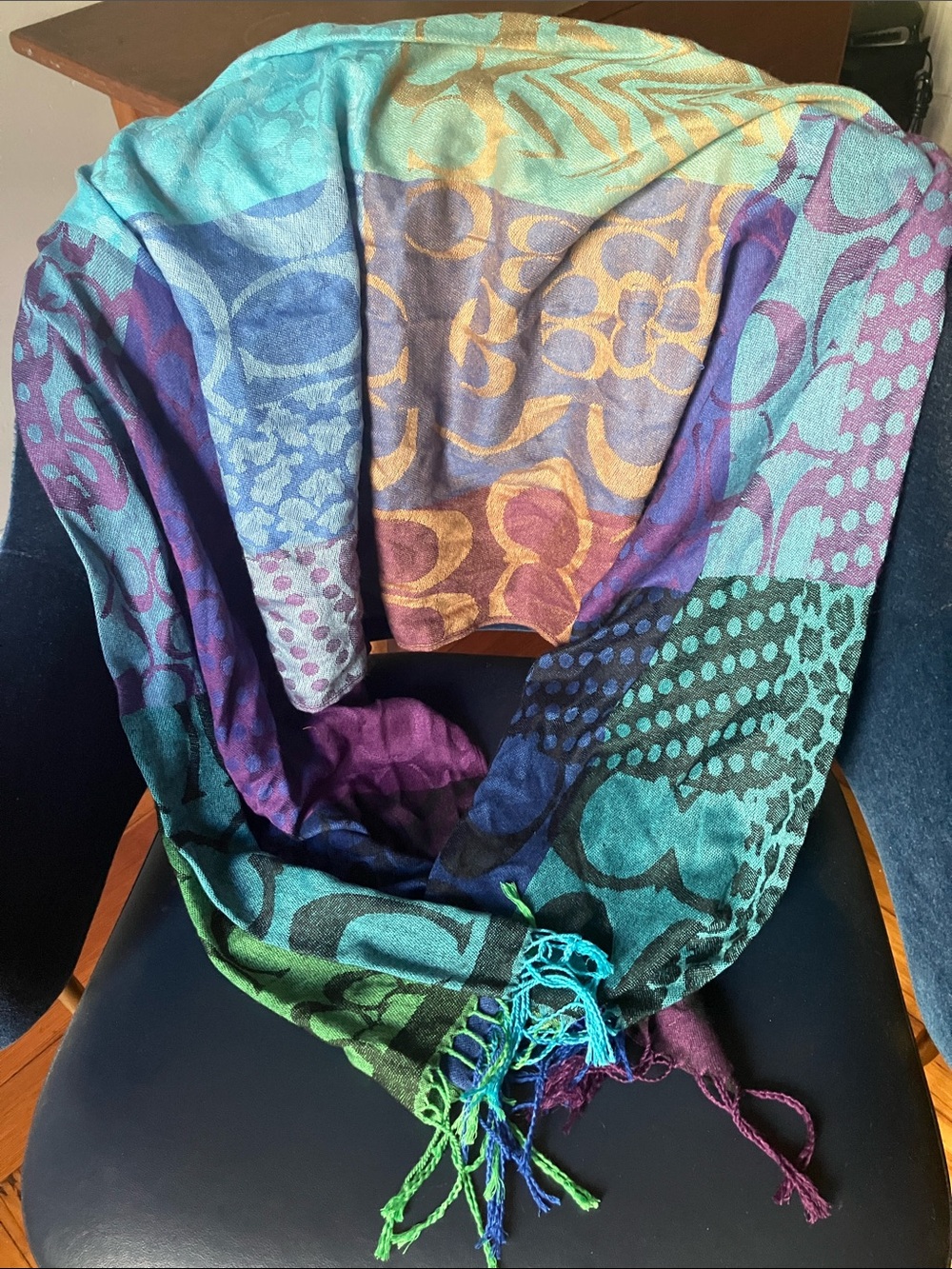 Coach scarf